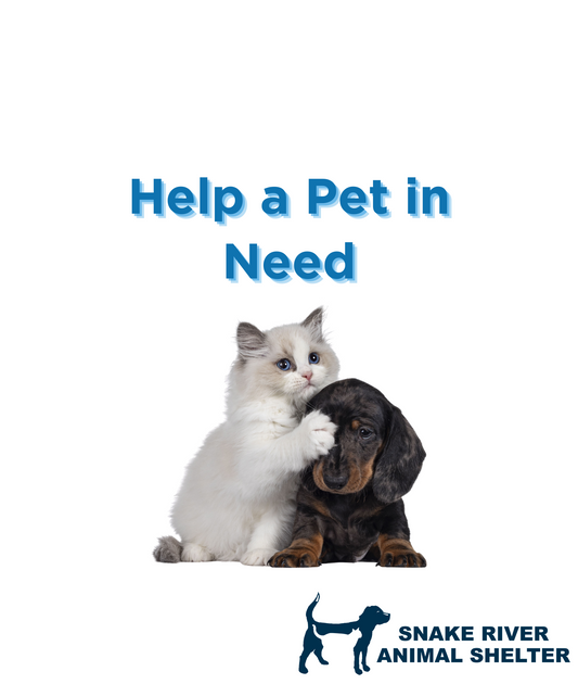 Help a Pet in Need