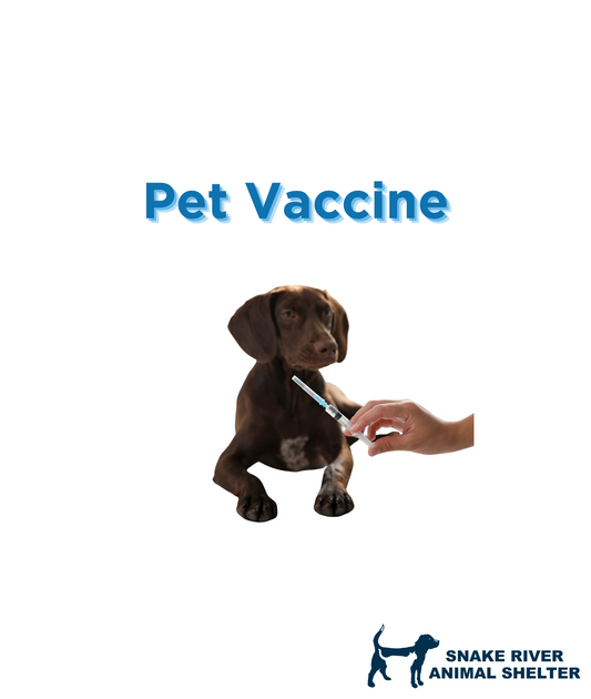 Pet Vaccine
