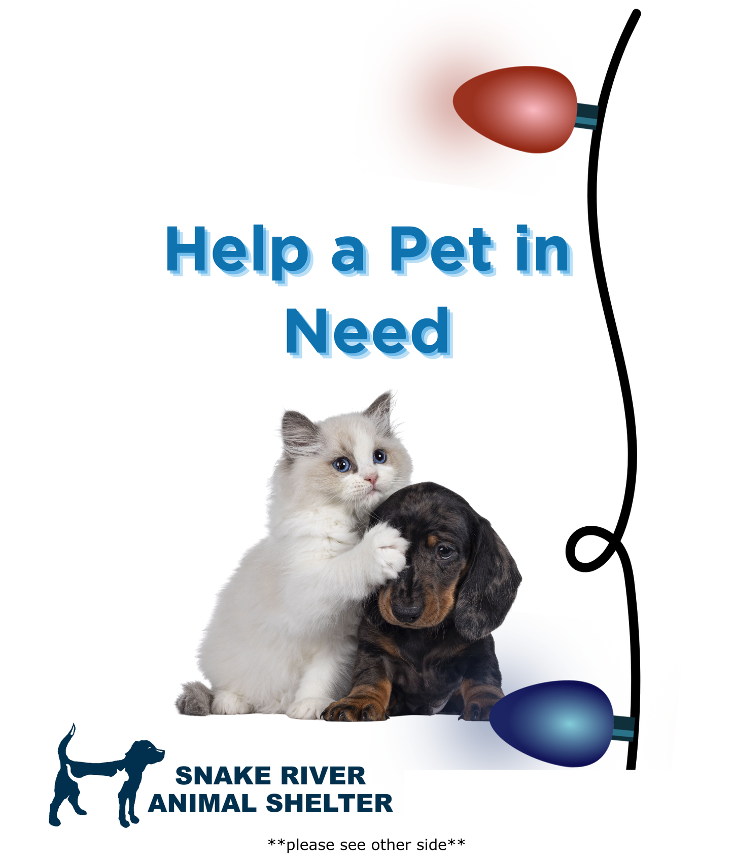 Help a Pet in Need